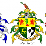 cognomi irlanda