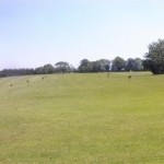 frankfield-golf-club_032704_full