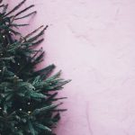 pexels-photo-814266