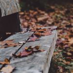 bench-1031353_960_720