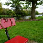 cork-2691885_960_720